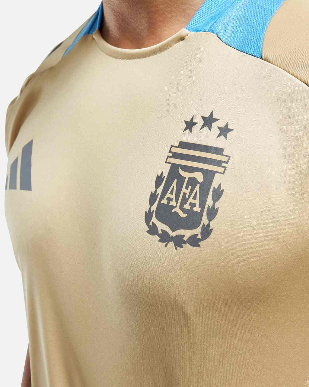Maillot d'entrainement Argentine - Beige/Bleu