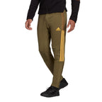 Pantalon Adidas Sportswear Tiro Winterized  - Kaki/Jaune
