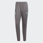 Pantalon d'entrainement Real Madrid Pastel Pack - Gris