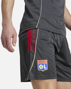 Short d'entraînement OL 2025/2026 - Gris