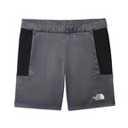 Short The North Face Ma Fleece - Noir/Gris