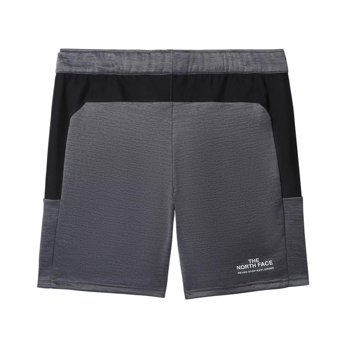 Short The North Face Ma Fleece - Noir/Gris