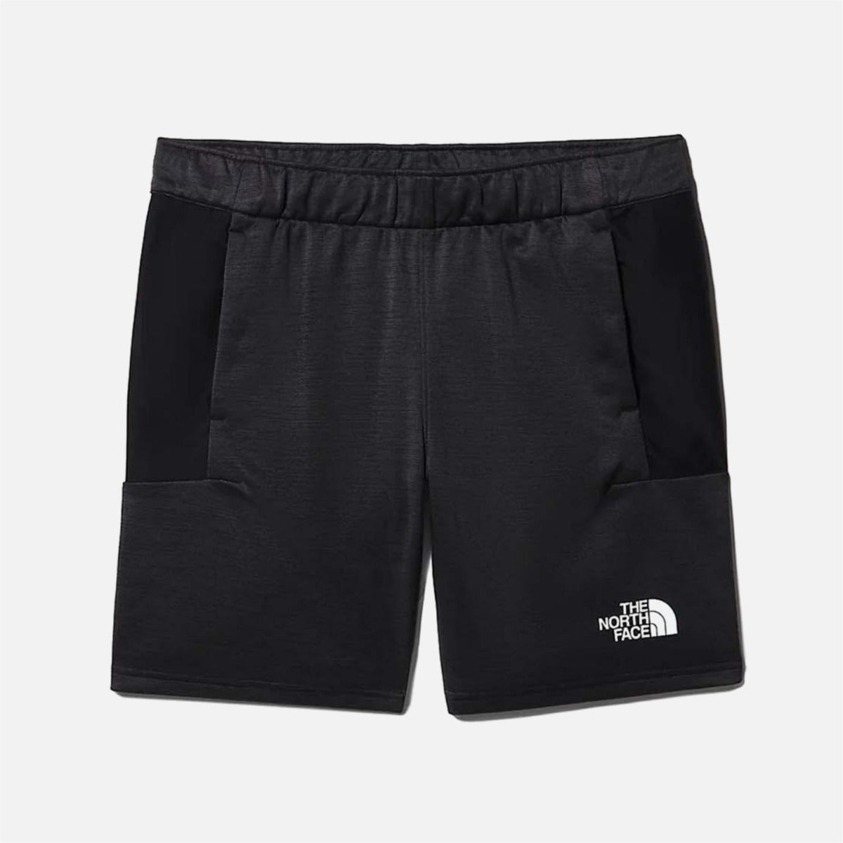 Short The North Face Ma Fleece - Noir