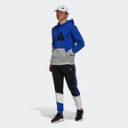Sweat Capuche Adidas Sportswear Colorblock - Bleu/Gris