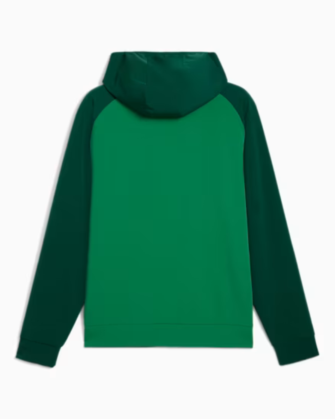 Veste de survêtement Portugal 2025 PumaTech - Vert